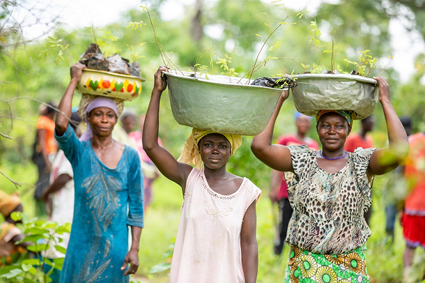ourshea - women carrying shea seedlings